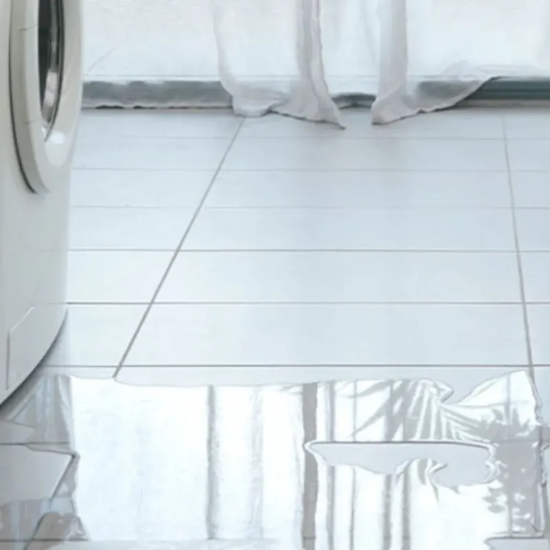 Appliance Leak Cleanup in Arlington, MN