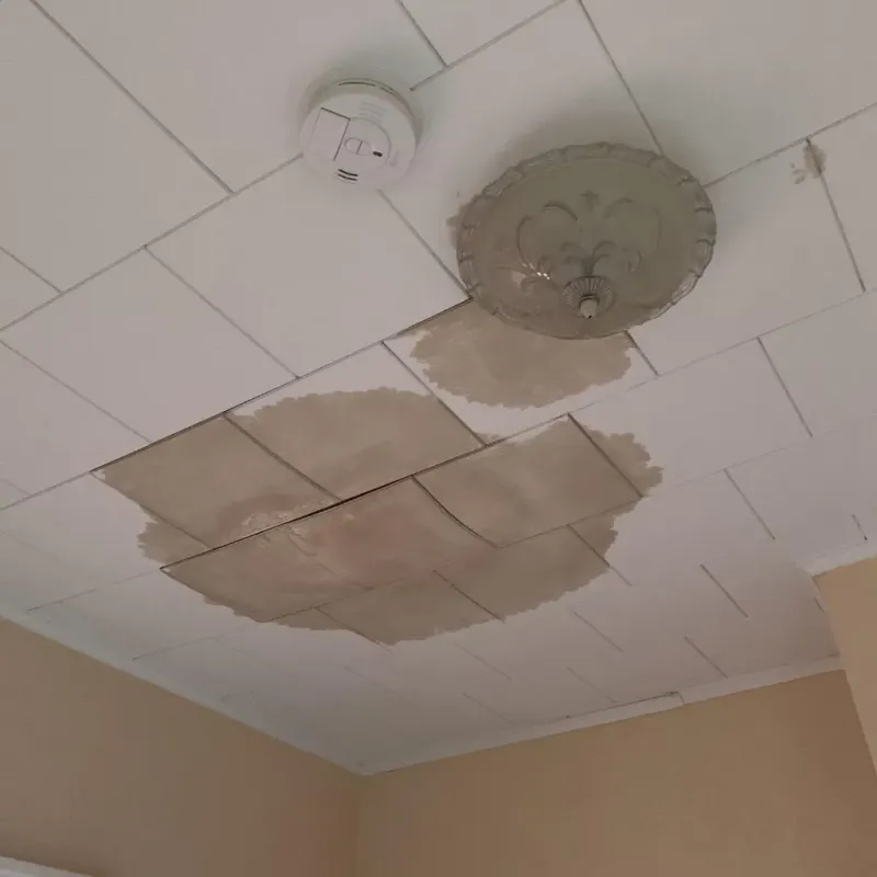 Ceiling Water Damage Repair in Arlington, MN